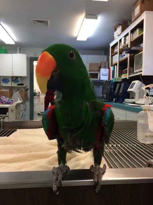 Exotic & Bird Clinic of New England 3