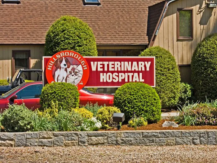 Hillsborough County Veterinary Hospital 10