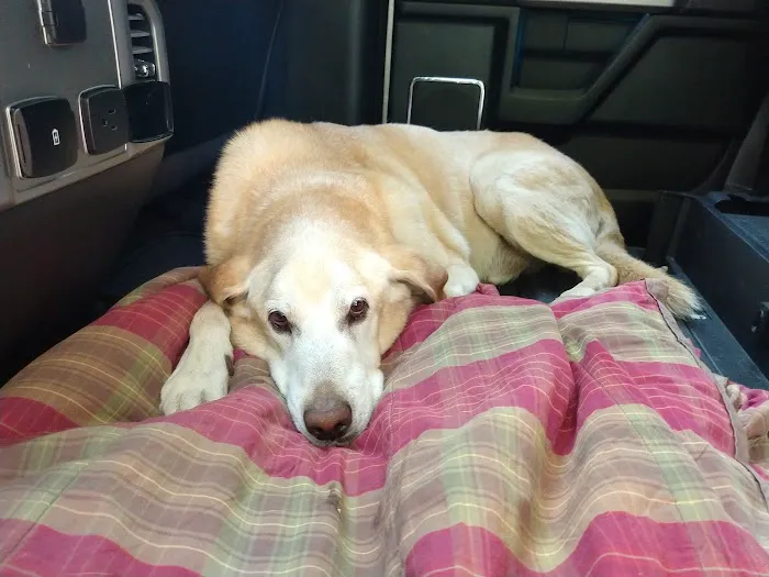 Hillsborough County Veterinary Hospital 1
