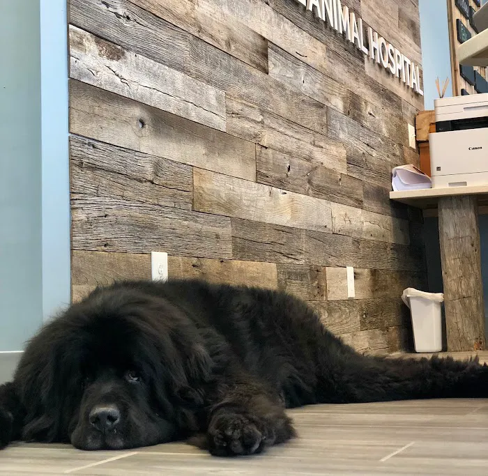 Powder Mill Animal Hospital 6