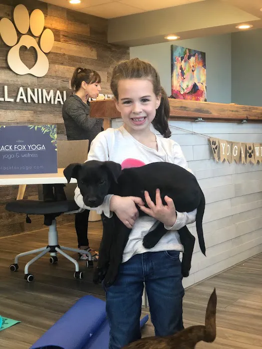 Powder Mill Animal Hospital 10