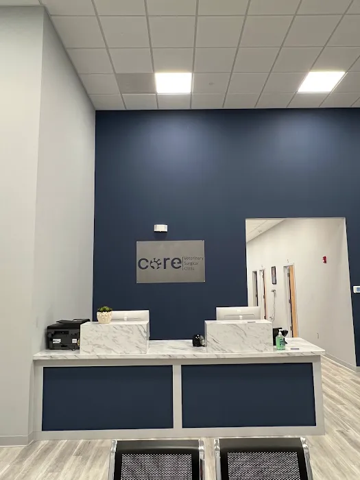 CORE Veterinary Surgical Clinic 1