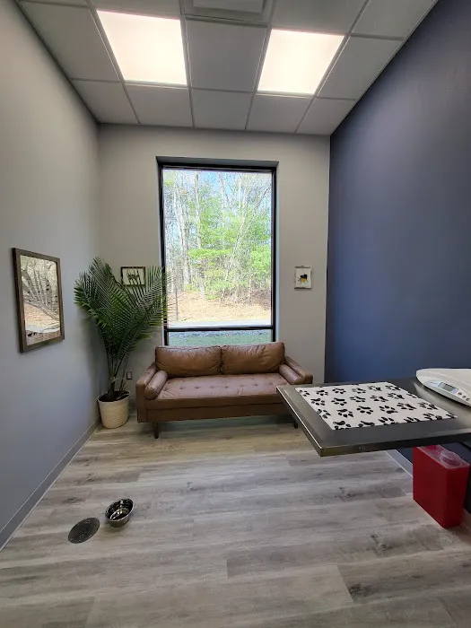 Maynard Veterinary Care 2