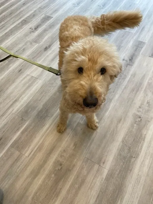 PawsitiveCare INC 10