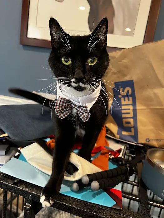 West Concord Animal Clinic 1