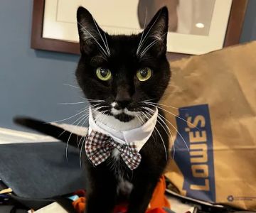 West Concord Animal Clinic