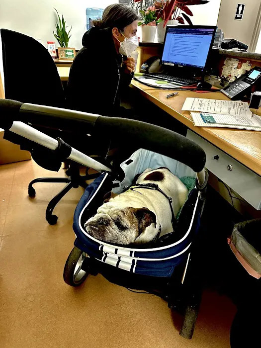 West Concord Animal Clinic 8