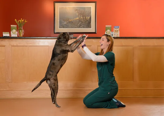 West Concord Animal Clinic 9