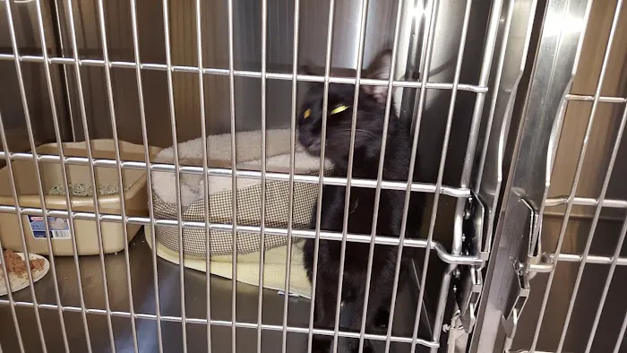 West Concord Animal Clinic 7