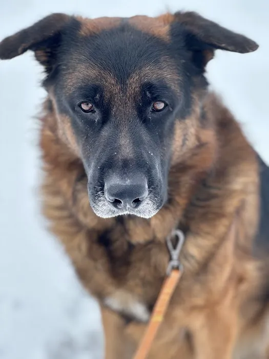 West Concord Animal Clinic 6