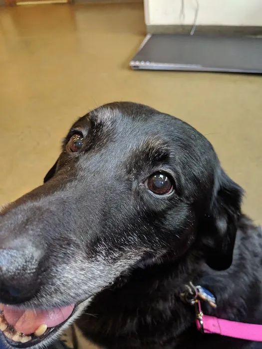 Sudbury Animal Hospital 4