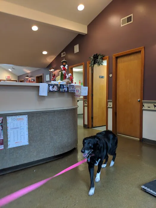 Sudbury Animal Hospital 9