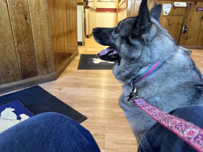 Framingham Animal Hospital 1