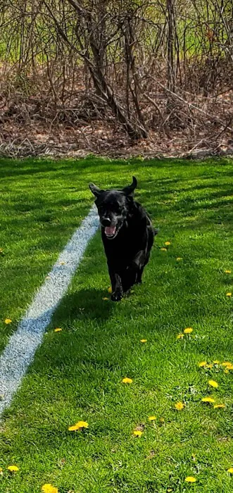 Framingham Animal Hospital 4