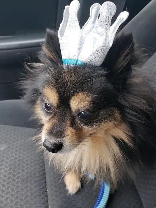 Framingham Animal Hospital 2