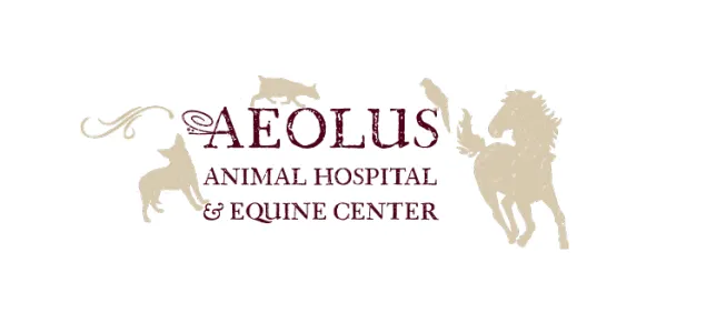 Aeolus Animal Hospital & Equine 4