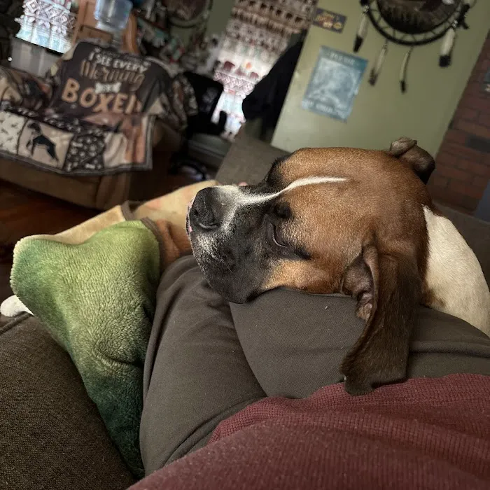 Greylock Animal Hospital 8