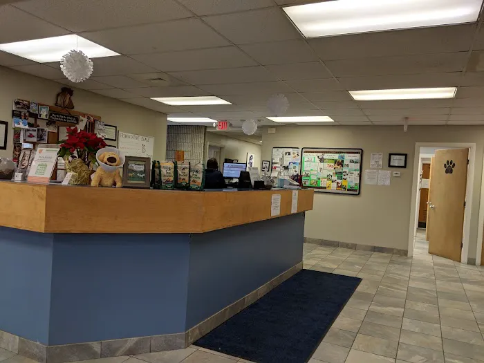 Greylock Animal Hospital 2
