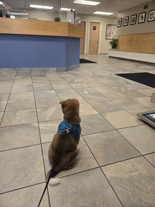 Greylock Animal Hospital 7