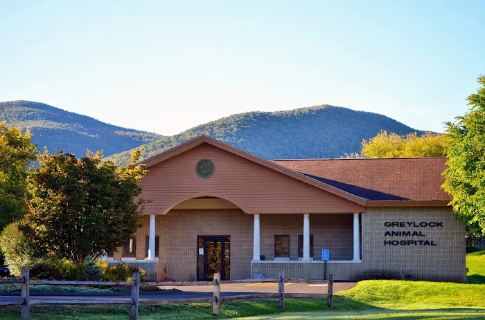 Greylock Animal Hospital 1