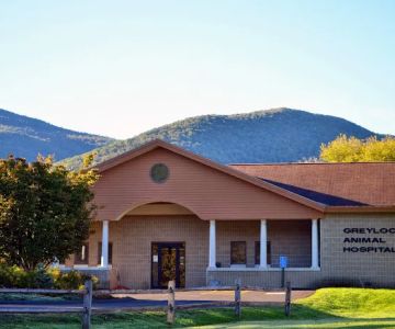 Greylock Animal Hospital