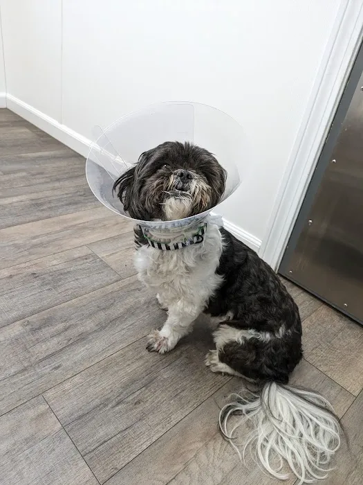 Lincoln Animal Hospital 9