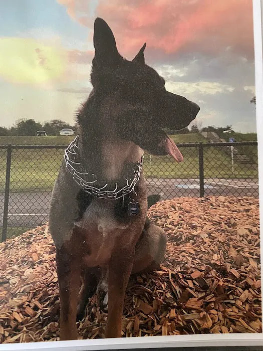 Lincoln Animal Hospital 10