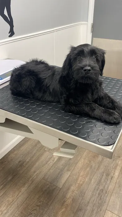 Lincoln Animal Hospital 5