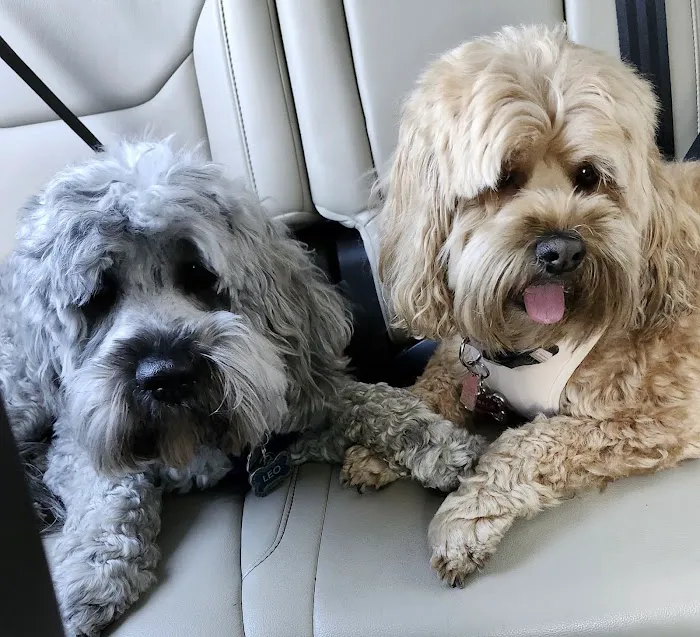 Banfield Pet Hospital 3