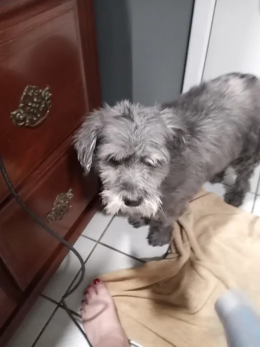 Banfield Pet Hospital 2