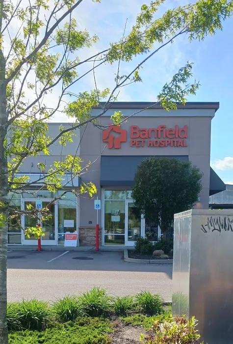 Banfield Pet Hospital 9