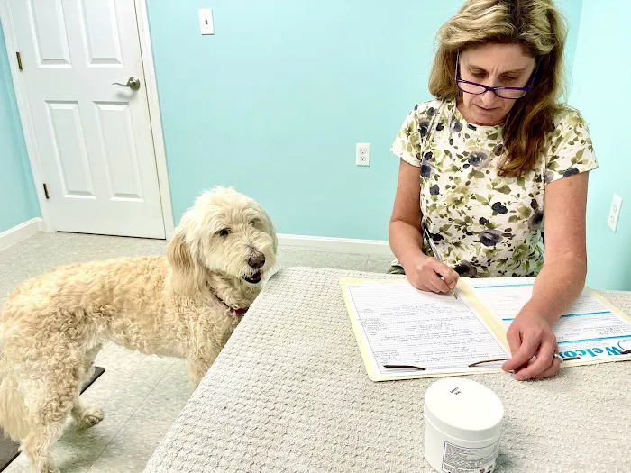 Veterinary Acupuncture & Herbs 1