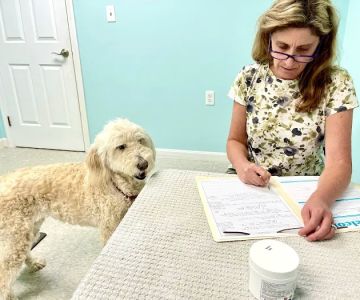 Veterinary Acupuncture & Herbs