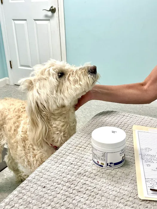 Veterinary Acupuncture & Herbs 2