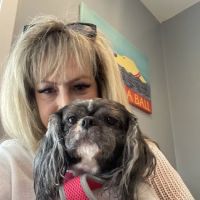 Main Street Veterinary Hospital ico