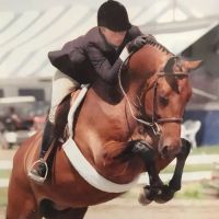 Backstretch Veterinary, Inc ico