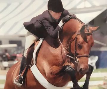Backstretch Veterinary, Inc