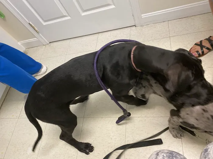 Banfield Pet Hospital 2