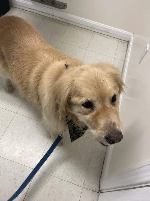 Banfield Pet Hospital 6
