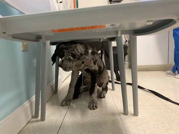 Banfield Pet Hospital 1