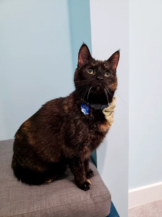 West Street Veterinary Clinic 6