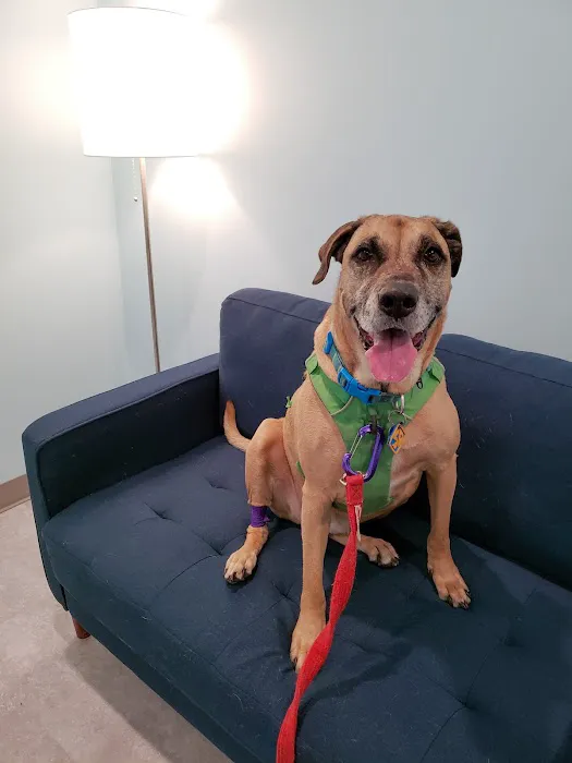 West Street Veterinary Clinic 4