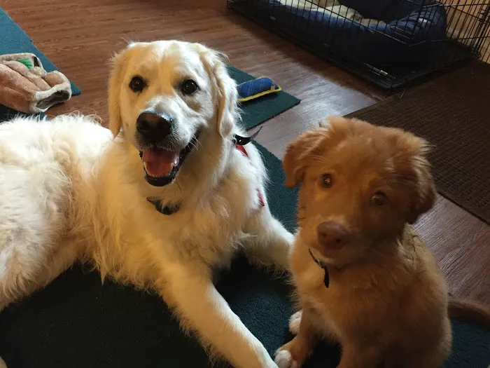 Vetco Total Care - Cody Pet Hospital 2