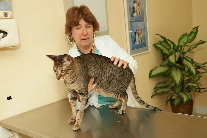 Vetco Total Care - Cody Pet Hospital 1