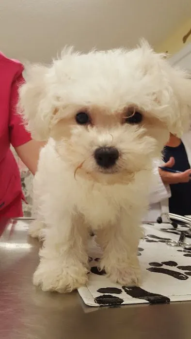 Vetco Total Care - Cody Pet Hospital 7