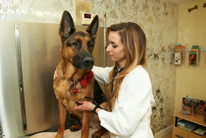 Vetco Total Care - Cody Pet Hospital 5