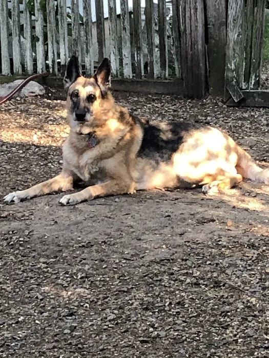 Slade Veterinary Hospital 6