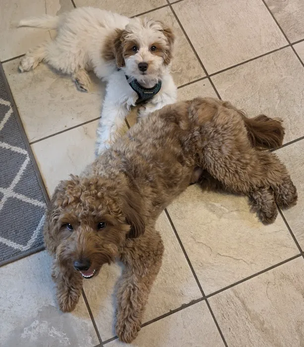 Thrive Pet Healthcare - Natick 1
