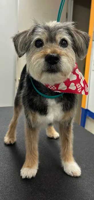 Thrive Pet Healthcare - Natick 5