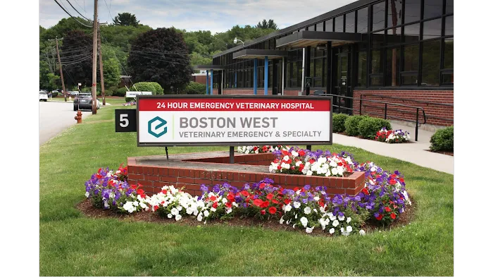 Boston West Veterinary Emergency & Specialty 9